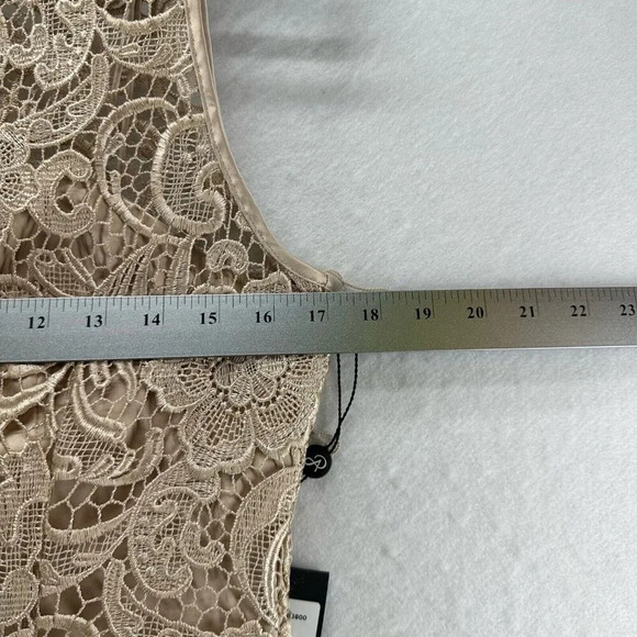 Adrianna Papell Dress Size 6 Lace Overlay Sheath Boat Neck Sleeveless Beige - Picture 11 of 12